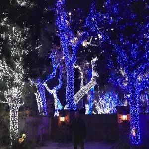 Meet your Posher, Yale